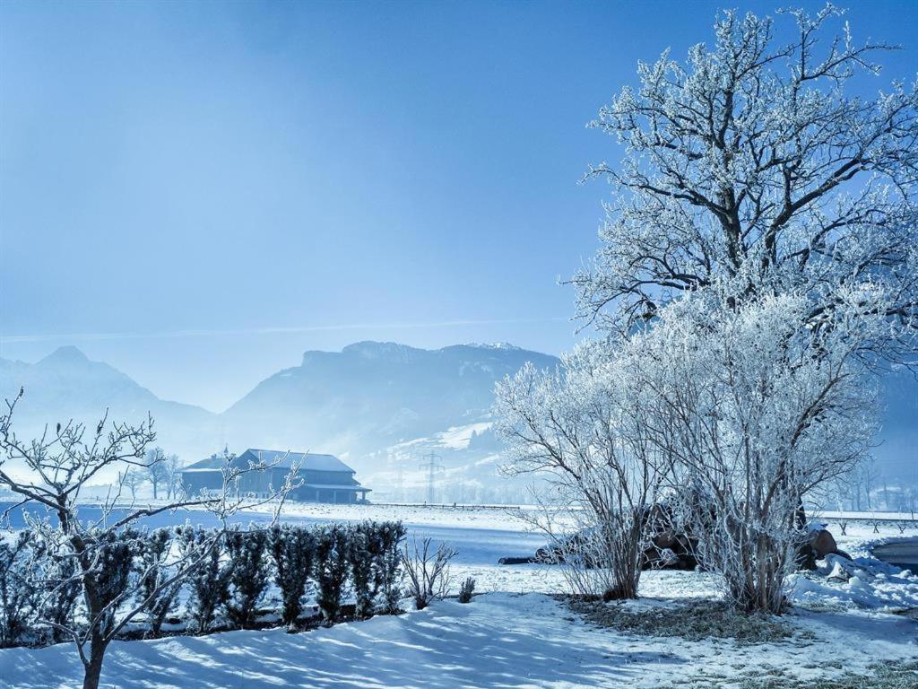 Gaestehaus Hauser 海因岑贝格 外观 照片