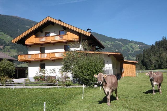 Gaestehaus Hauser 海因岑贝格 外观 照片
